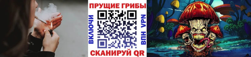 купить наркотики сайты  Оса  Псилоцибиновые грибы прущие грибы 